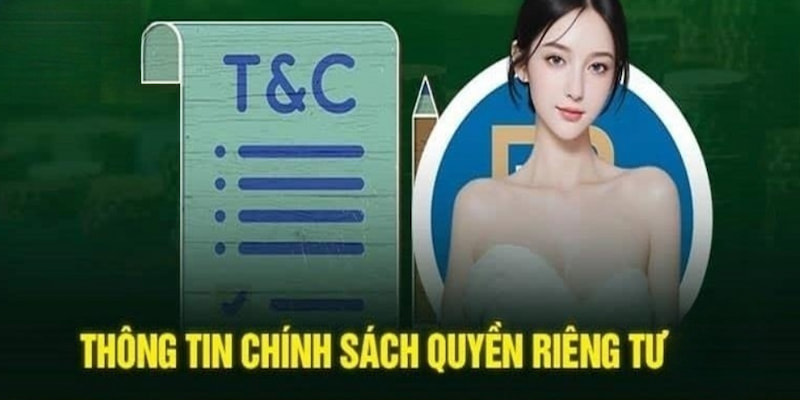 Nội dung quyền riêng tư OK365