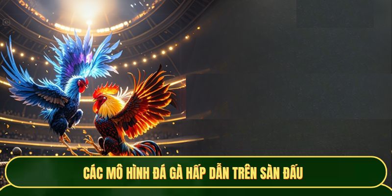 Các loại hình đá gà hấp dẫn trên sàn đấu
