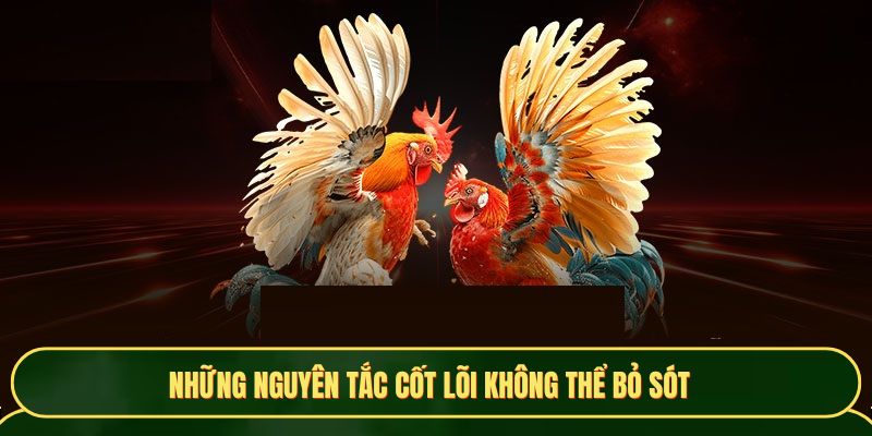 Những nguyên tắc cốt lõi không thể bỏ sót